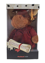 Load image into Gallery viewer, Plushland Moose Plush Stuffed Animal Toys Present Gifts for Graduation Day, Personalized Text, Name or Your School Logo on Gown, Best for Any Grad School Kids 12 Inches(Forest Green Cap and Gown)
