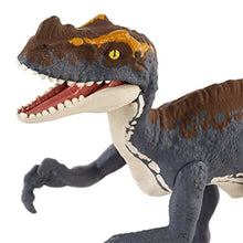 Load image into Gallery viewer, Jurassic World Camp Cretaceous Attack Pack Proceratosaurus Dinosaur Figure, Realistic Sculpting &amp; Texture; for Ages 4 Years Old &amp; Up
