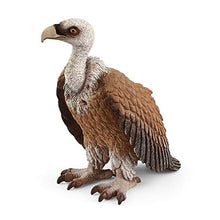 Load image into Gallery viewer, Schleich Wild Life, Animal Figurine, Animal Toys for Boys and Girls 3-8 years old, Vulture
