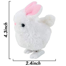 Load image into Gallery viewer, 3 otters Wind Up Toys for Kids, 12PCS Bunny Party Favors Wind-Up Jumping Rabbit Novelty Toys, Birthday Favors Toys White and Pink
