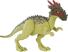 Load image into Gallery viewer, Jurassic World Wild Pack Dracorex Herbivore Dinosaur Action Figure Toy with Movable Joints, Realistic Sculpting &amp; Attack Feature, Kids Gift Ages 3 Years &amp; Older
