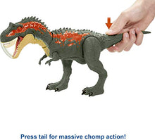 Load image into Gallery viewer, Jurassic World Massive Biters Larger-Sized Dinosaur Action Figure with Tail-Activated Strike and Chomping Action, , Movable Joints, Movie-Authentic Detail; Ages 4 and Up [Amazon Exclusive]
