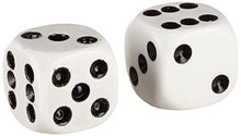 Load image into Gallery viewer, MMS Points Steel Dice (2 Dice Set) - Trick
