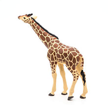 Load image into Gallery viewer, Papo Head Raised Giraffe Figure, Multicolor
