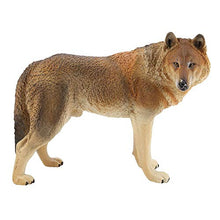 Load image into Gallery viewer, Simulation Wildlife Model PVC Material Safe, Durable, Wolf Model Toy, Toy Collection, Great Gift for Children Collector(2 #)
