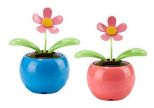 Load image into Gallery viewer, IFY Set of 2 Pink Blue Car Bee Happy Dancing Solar Flower
