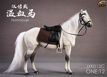 Load image into Gallery viewer, Lana Toys JXK 1/12 Germany Hanover Horse Figure Warm-Blood Horse Hanoverian Steed Animal Model Realistic Educational Painted Figure Decoration Toy Collector Gift Adult (White&amp;Black)
