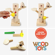 Load image into Gallery viewer, JOJO Fine Motor Skills Toy for Toddlers Montessori Wooden Toys Magnetic Bird Toy Set Woodpecker Catching Bug Game for Boy and Girl Early Preschool Learning Toys Educational Gift 2 3 4 5 Years Old
