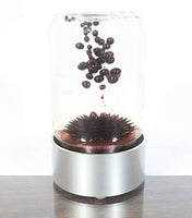 MTR Designs Spike RED Colored Ferrofluid in a Bottle Magnetic Liquid Sculpture Educational Display Executive Desk Toy