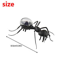 Load image into Gallery viewer, Larcele Solar Power Insect Kids Educational Toy Gifts for Child Solar Ant 3 PacksTYNMY-01
