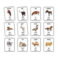 Farm Animals Flash Cards - 27 Laminated Flashcards | Homeschool | Montessori Materials | Multilingual Flash Cards | Bilingual Flashcards - Choose Your Language (Punjabi + English)