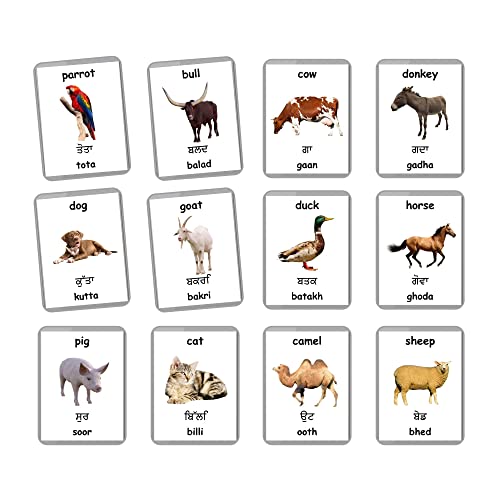 Farm Animals Flash Cards - 27 Laminated Flashcards | Homeschool | Montessori Materials | Multilingual Flash Cards | Bilingual Flashcards - Choose Your Language (Punjabi + English)
