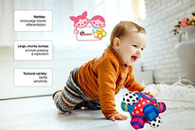 Load image into Gallery viewer, Baby Cognitive Developmental Bumpy Ball Toy Newborns to 6 Months, 8 Months, 1 Year and 2 Years Old Toddlers, Brain Development Toy for Kids
