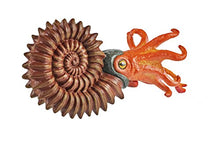 Load image into Gallery viewer, Safari Ltd. Wild Safari Prehistoric World: Ammonite
