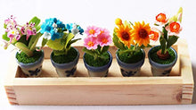 Load image into Gallery viewer, ThaiHonest Set 5 Assorted Dollhouse Miniature Flowers,Tiny Flowers in Ceramic Pot with Planter Box, Dollhouse Accessories for Collectibles
