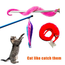 Load image into Gallery viewer, SHENGSEN 100 Pieces Fuzzy Worm Toys String Pets Fuzzy Worms On String Bulk Trick Toy Party Favors for Kid Cat (10 Colors)
