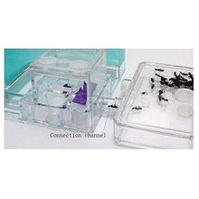 Load image into Gallery viewer, LLNN Insect Villa Acryl Ant Farm DIY Nest, Ant Farm Habitat Ant Nest - Great Gift for Kids and Adults - with Eatable Blue Gel Nutrition Insect Cages Festival Birthday Gift
