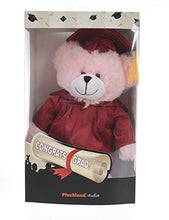 Load image into Gallery viewer, Plushland Pink Bear Plush Stuffed Animal Toys Present Gifts for Graduation Day, Personalized Text, Name or Your School Logo on Gown, Best for Any Grad School Kids 12 Inches(Black Cap and Gown)
