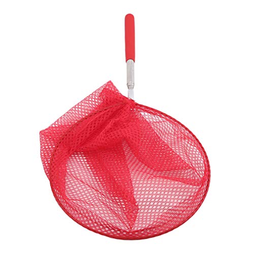 Weiy Stainless Steel Butterfy Bug Mesh, Kids Extendable Fishing Net Garden Toy for Family,Red