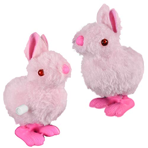 NOVELTY GIANT WWW.NOVELTYGIANT.COM Wind Up Hopping Bunny Easter Egg Bunny 2 Pack (Pink)