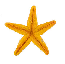 Load image into Gallery viewer, Safari Ltd Wild Safari Sea Life Starfish
