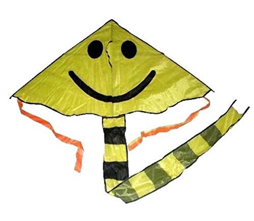 Huge Sport Outdoor Flying Yellow Smile Face Kite with String and Handle