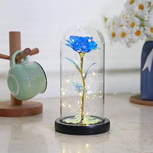 Load image into Gallery viewer, yuye-xthriv LED Lamp Glass Cover Rose Flower Micro Landscape Decorative Light Glass Cover Rose Micro Landscape Decoration 5
