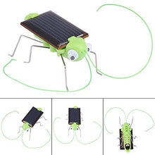Load image into Gallery viewer, Zetiling Solar Powered Grasshopper, Solar Cockroach Toy, Mini Magic Insect Toys for Kids (02)

