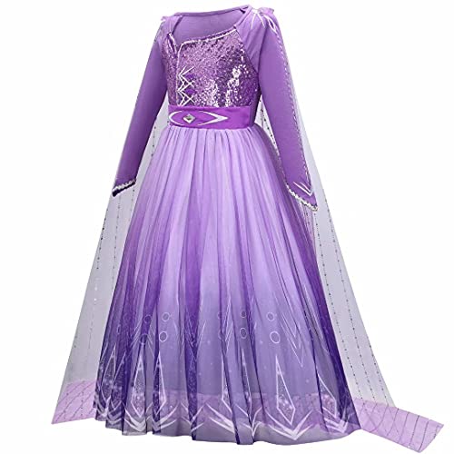 Girls Princess Dress Costume - Ice Queen Movie 2 Helloween Deluxe Role Play Party Fancy Cosplay for Kid Child