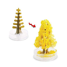 Load image into Gallery viewer, Magic Growing Crystal Christmas Tree, Kids DIY Felt Magic Growing Decorations Paper Tree Gifts for Kids Toys
