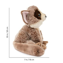 Load image into Gallery viewer, Wildlife Tree 12 Inch Stuffed Bushbaby Plush Floppy Animal Kingdom Collection
