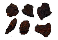 Fossils, Meteorites, & More NANTAN Iron Meteorite Lot of 6 -Genuine-88.2 Grams w/Card & COA #16383 9o