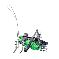 3D Metal Puzzle Long Horned Grasshopper Model, DIY Assembly Mechanical Insect Model Stainless Steel Building Kit Jigsaw Puzzle Brain Teaser, Desk Ornament