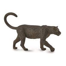 Load image into Gallery viewer, Collecta - Black Leopard - Collectable Animal Figurine - Hand Painted
