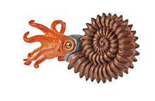 Load image into Gallery viewer, Safari Ltd. Wild Safari Prehistoric World: Ammonite
