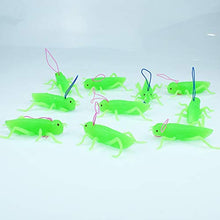 Load image into Gallery viewer, BARMI 10Pcs Simulation Locust Insect TPR Model Hanging Prank Trick Props Kids Toy,Perfect Child Intellectual Toy Gift Set Green
