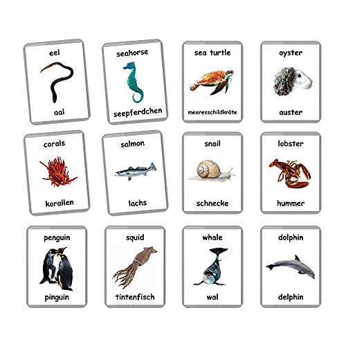 Sea Animals Flash Cards - 26 Laminated Flashcards | Ocean Animals | Water Animals | Homeschool | Multilingual Flash Cards | Bilingual Flashcards - Choose Your Language (German + English)