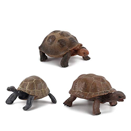 Feng Shui Tortoise Animal Figurines Home Decoration Hand Painted Realistic Craft Little Turtle Figurine Preschool Educational Toys Birthday Festival Gift for Kids Girls Boys for Longevity 3PC (Multi)