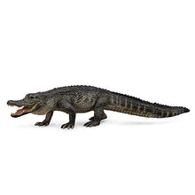 Load image into Gallery viewer, CollectA Wildlife American Alligator Toy Figure - Authentic Hand Painted Reptile Model
