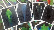 Load image into Gallery viewer, MJM Parrot Prototype Playing Cards
