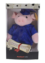 Load image into Gallery viewer, Plushland Pig Plush Stuffed Animal Toys Present Gifts for Graduation Day, Personalized Text, Name or Your School Logo on Gown, Best for Any Grad School Kids 12 Inches(Black Cap and Gown)
