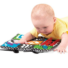 Load image into Gallery viewer, Manhattan Toy Wimmer-Ferguson Double Sided 3-in-1 Triangle Play and Pat Activity Mat
