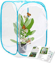 Load image into Gallery viewer, RESTCLOUD Insect and Butterfly Habitat Cage Terrarium Pop-up 24 Inches Tall

