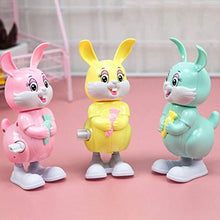 Load image into Gallery viewer, LUOZZY Clockwork Bunny for Kids Wind up Rabbit Toy Lovely Rabbit Figures Easter Party Decorations 3 Pcs(Random)
