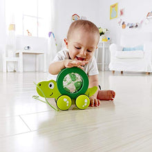 Load image into Gallery viewer, Hape Tito Pull Along | Wooden Turtle with Swirling Shell Pull Toddler Toy, Green
