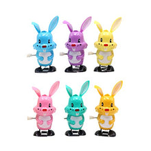 Load image into Gallery viewer, Amosfun Wind Up Toys Easter Rabbit Animals Clockwork Toy Educational Funny Toys for Toddlers 6pcs (Random Color)
