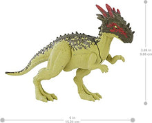 Load image into Gallery viewer, Jurassic World Wild Pack Dracorex Herbivore Dinosaur Action Figure Toy with Movable Joints, Realistic Sculpting &amp; Attack Feature, Kids Gift Ages 3 Years &amp; Older
