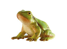 Load image into Gallery viewer, Bullyland Tree Frog Action Figure
