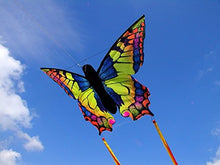 Load image into Gallery viewer, HQ Kites Swallowtail R Butterfly Kite   20 Inch Single - Line Kite with Tail - Active Outdoor Fun for Ages 5 and Up
