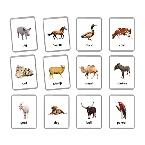 Farm Animals Flash Cards - 27 Laminated Flashcards | Homeschool | Montessori Materials | Multilingual Flash Cards | Bilingual Flashcards - Choose Your Language (English Only)